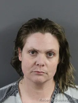 Mugshot of KRYSTYNA ANDERSON