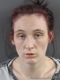 Mugshot of HEATHER JOEANN NICHOLS