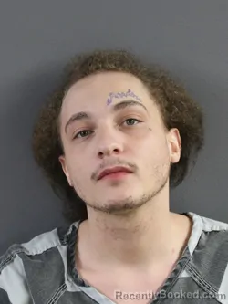 Mugshot of LAMICHAEL PAUL HANNA booked in Coles County, Illinois on March 22, 2026