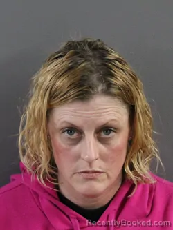 Mugshot of AMANDA ELIZABETH LEE booked in Coles County, Illinois on March 25, 2026