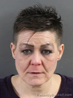 Mugshot of MELISSA SUE WHITE booked in Coles County, Illinois on March 25, 2026