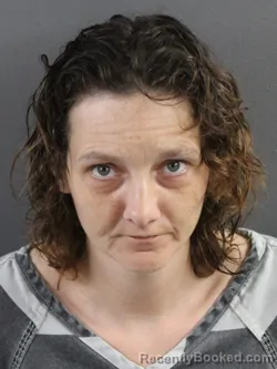 Mugshot of JESSICA LOVETT booked in Coles County, Illinois on March 26, 2026