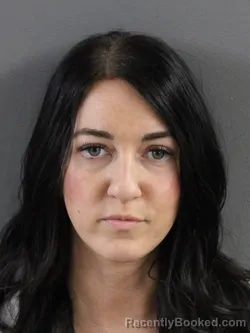 Mugshot of BRITTANY M SIMMS booked in Coles County, Illinois on April 22, 2026