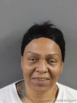 Mugshot of AMANDA LEE HOPGOOD booked in Coles County, Illinois on April 23, 2026