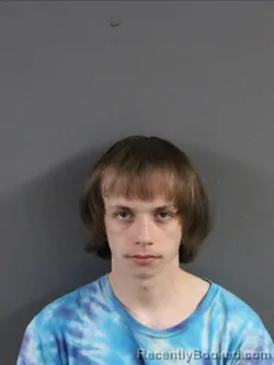 Mugshot of ZACHARY RAY WILLIAMSON booked in Coles County, Illinois on May 2, 2026