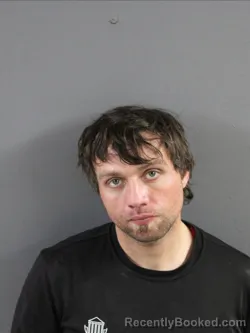 Mugshot of REILAND L BRYANT booked in Coles County, Illinois on May 2, 2026