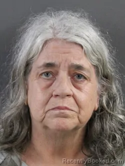 Mugshot of MARY ANN SCHWARTZ booked in Coles County, Illinois on May 18, 2026
