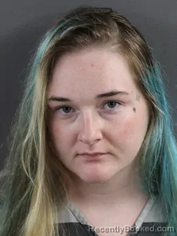Mugshot of ADRIANNA RENEE TUDOR booked in Coles County, Illinois on June 9, 2026