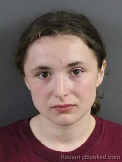 Mugshot of AUDREY GASSER booked in Coles County, Illinois on July 9, 2026