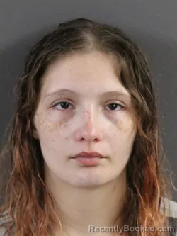 Mugshot of AISLYNN RAINNE GREENHOE booked in Coles County, Illinois on July 28, 2026