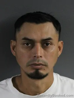 Mugshot of JOEL ARDANY GARCIA HERNANDEZ booked in Coles County, Illinois on August 1, 2026