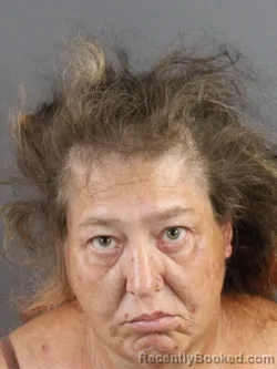 Mugshot of MIRANDA SUE STEVENS booked in Coles County, Illinois on August 2, 2026