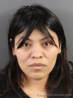 Mugshot of Alejandra Crispin-Lopez booked in Coles County, Illinois on August 6, 2026