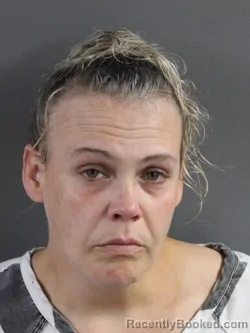 Mugshot of Katherine L Miller booked in Coles County, Illinois on August 11, 2026