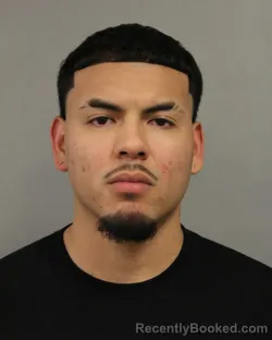 Mugshot of ANDRE A MERLO-ESTRADA