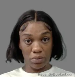Mugshot of Amelia Smith booked in Cook County, Illinois on August 7, 2026