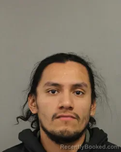 Booking photo from Cook County, Illinois