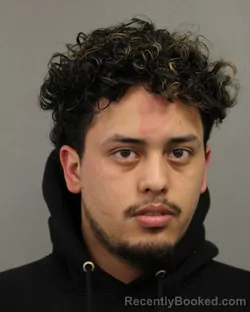 Mugshot of DANIEL ALEJANDRO RUIZ