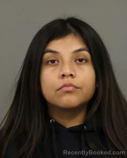 Mugshot of ELVERA OCAMPO