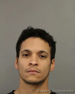 Mugshot of FERNANDO MEDINA OLIVARES