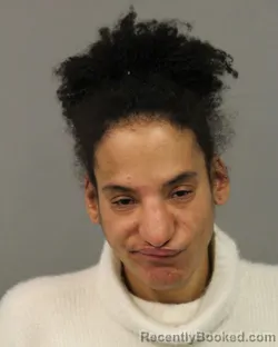 Mugshot of FAYTH LIDDIA WILSON booked in Cook County, Illinois on March 13, 2026