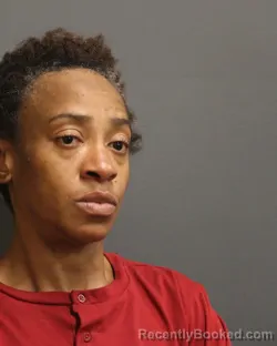 Booking photo from Cook County, Illinois