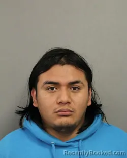 Booking photo from Cook County, Illinois