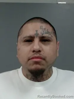 Mugshot of JULIO C FLORES booked in Cook County, Illinois on April 15, 2026