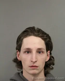 Booking photo from Cook County, Illinois