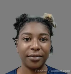 Mugshot of KATELYN D GREGORY booked in Cook County, Illinois on July 28, 2026