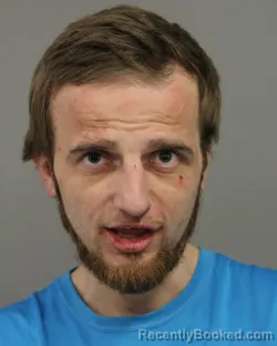 Mugshot of MERGIM NMI MEHMETI