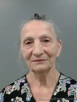Mugshot of MILA NMI VASILJ booked in Cook County, Illinois on May 31, 2026