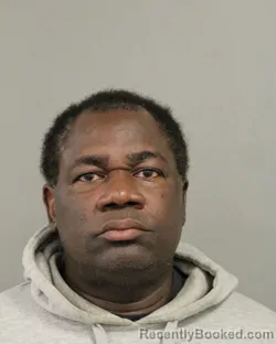 Mugshot of OLUFEMI A OMOSEHIN