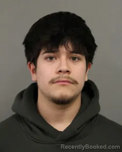 Booking photo from Cook County, Illinois