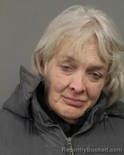 Mugshot of SHANNON C CLIFFORD