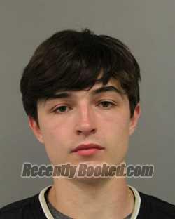 Booking photo from Cook County, Illinois