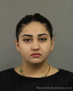 Booking photo from Cook County, Illinois