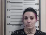 Mugshot of KAYLEE MARIE BRASFIELD booked in Crawford County, Illinois on May 27, 2026