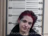 Mugshot of NICOLE B BAKER booked in Crawford County, Illinois on June 17, 2026