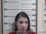 Mugshot of MISNER CATRINA R COTTON booked in Crawford County, Illinois on May 29, 2026