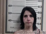 Mugshot of BRITTANY M FARMER booked in Crawford County, Illinois on June 29, 2026