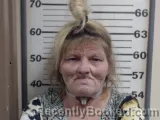 Mugshot of DONNA M FRALEY