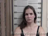 Mugshot of AMBER L. HELEINE booked in Crawford County, Illinois on June 21, 2026