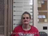 Mugshot of CHRISTINA M HOLLINGSWORTH booked in Crawford County, Illinois on April 30, 2026