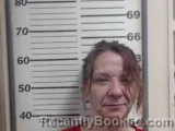 Mugshot of JOLENE K JOURDAN booked in Crawford County, Illinois on May 8, 2026