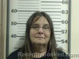 Mugshot of MELISSA J JORDAN booked in Crawford County, Illinois on August 3, 2026