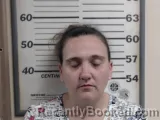 Mugshot of BRANDI N KENDALL booked in Crawford County, Illinois on July 2, 2026