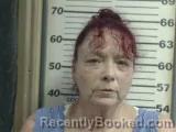 Mugshot of Paula L Perrine booked in Crawford County, Illinois on August 10, 2026