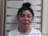 Mugshot of ASHLEY N SONGER booked in Crawford County, Illinois on June 28, 2026