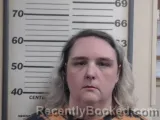 Mugshot of ERIN M WALLACE booked in Crawford County, Illinois on May 16, 2026